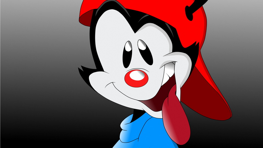 Wakko Warner Animaniacs Wallpaper  Download to your mobile from PHONEKY
