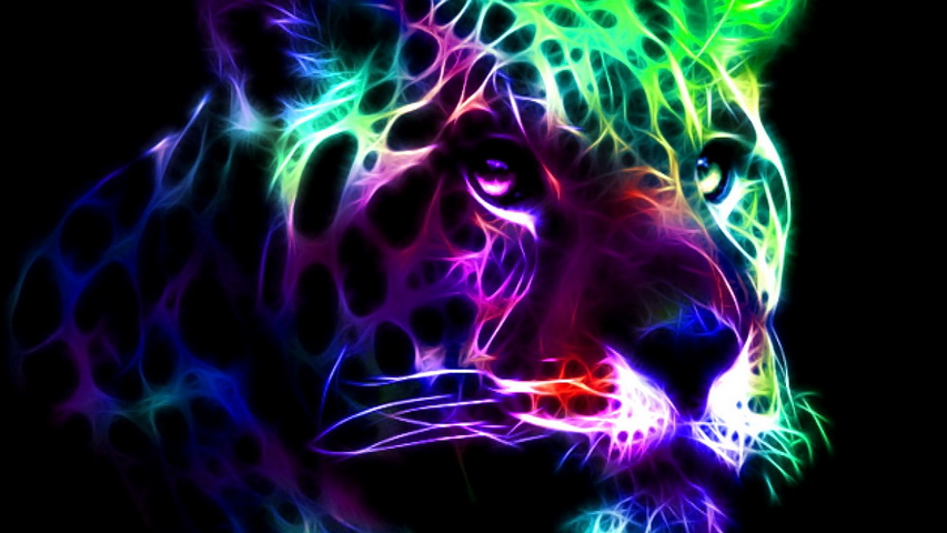 Leopard Wallpaper - Download to your mobile from PHONEKY