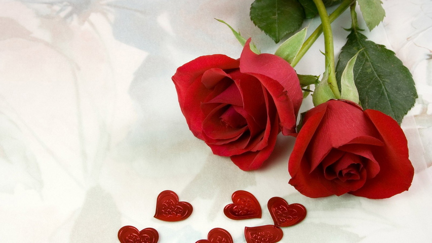 Mawar Bunga Dua Cinta Merah Jantung Wallpaper Muat Turun