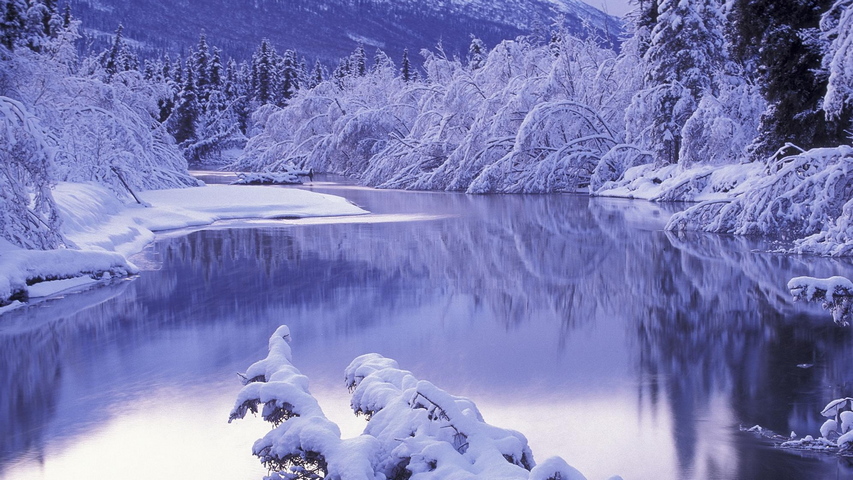 Cảnh quan thiên nhiên mùa đông tuyết trắng Ảnh nền - Tải xuống điện thoại  di động của bạn từ PHONEKY