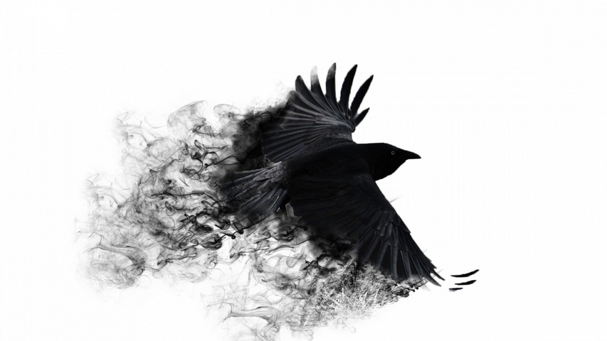 Crow Wings Bird Swing Wallpaper - Download to your mobile from PHONEKY