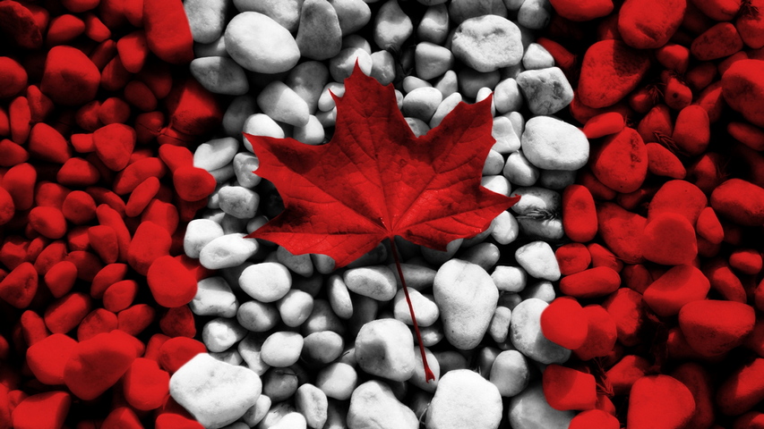 Flag Kanada Blatter Steine Hintergrund Lade Auf Dein Handy Von Phoneky Herunter