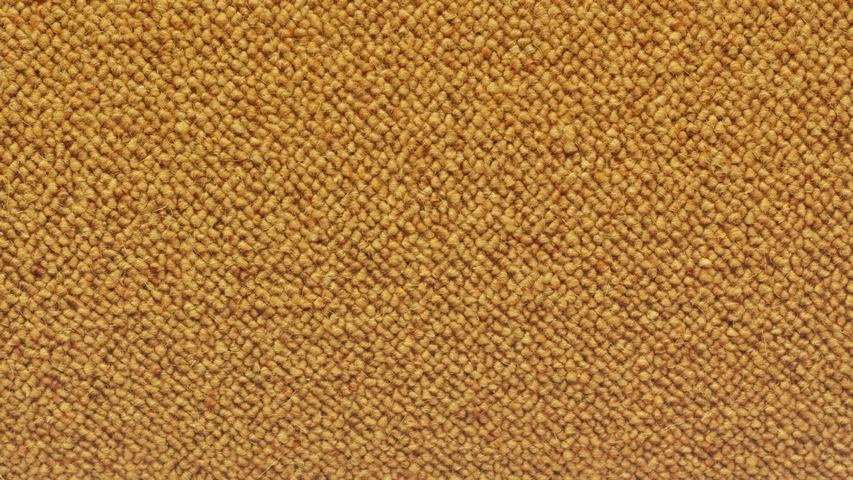 Light Brown Wallpaper - Download to your mobile from PHONEKY