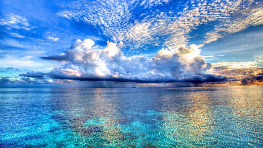 Bộ sưu tập hình nền đại dương cực chất full 4K: Top 999+ hình nền đại dương