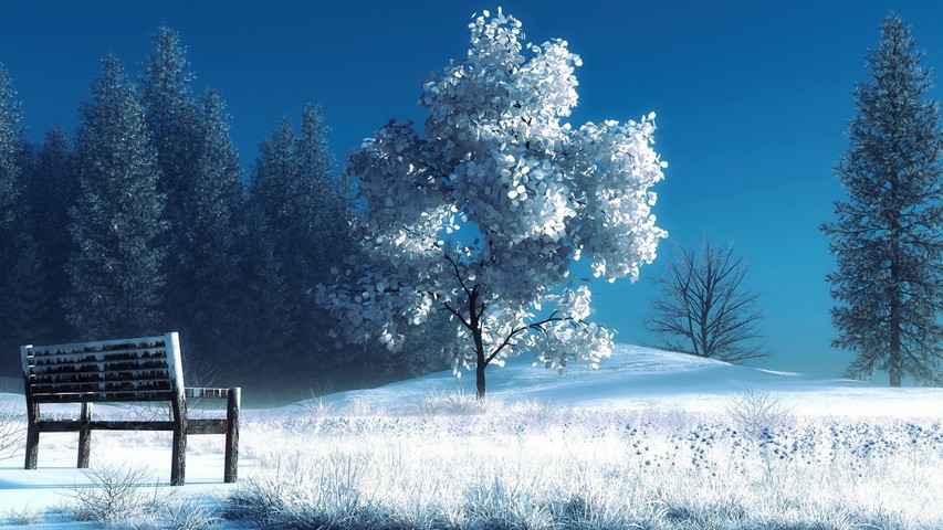 Băng tuyết cây: Lớp tuyết phủ trắng tuyệt đẹp trên những tán cây vành đai xanh tươi sẽ đưa bạn vào cảm giác như đang ở trong một vùng đất của Narnia. Thư giãn và tận hưởng không gian đẹp như tranh vẽ.