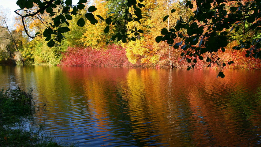 River Trees Autumn Reflection Wallpaper - Download to your mobile from ...