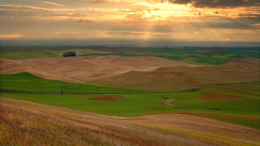 Sun Beam Field Wallpaper - Download to your mobile from PHONEKY