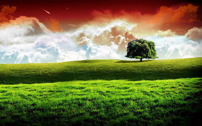 Natured Indian Flag Wallpaper - Download to your mobile from PHONEKY