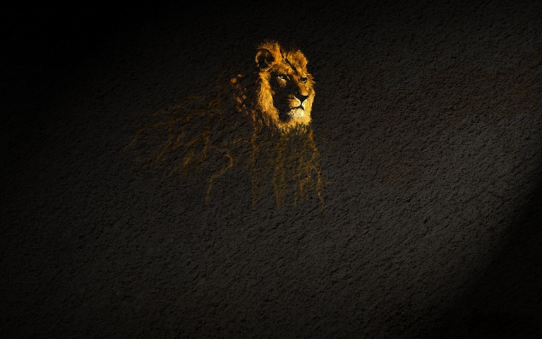 Lion Wallpaper - Download to your mobile from PHONEKY