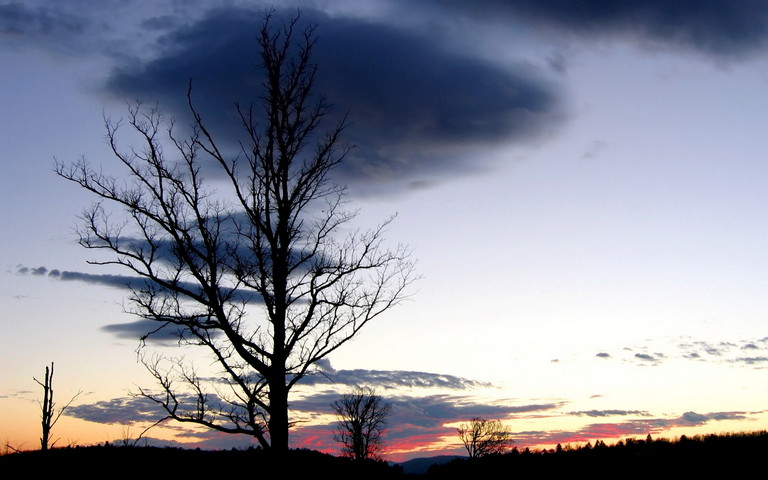 Sunset Shadow Wallpaper - Download to your mobile from PHONEKY