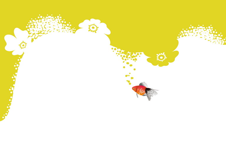 Freedom Fish Wallpaper - Download to your mobile from PHONEKY