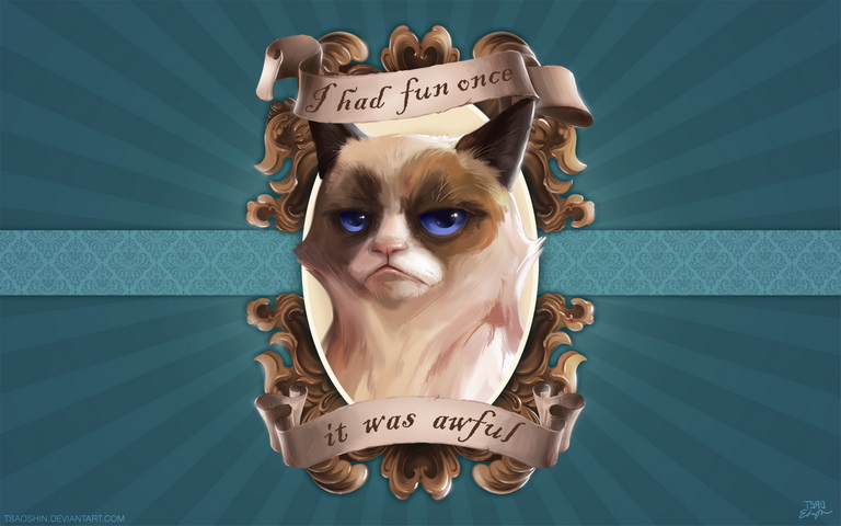Grumpy Cat Wallpaper - Download to your mobile from PHONEKY