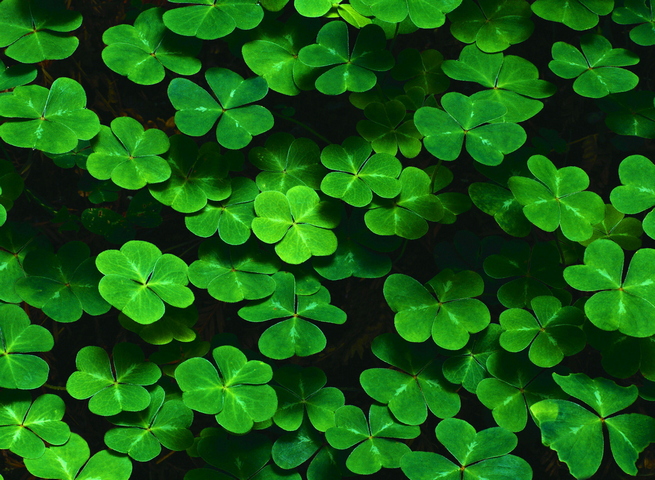 Lucky Clover Wallpaper - Download to your mobile from PHONEKY