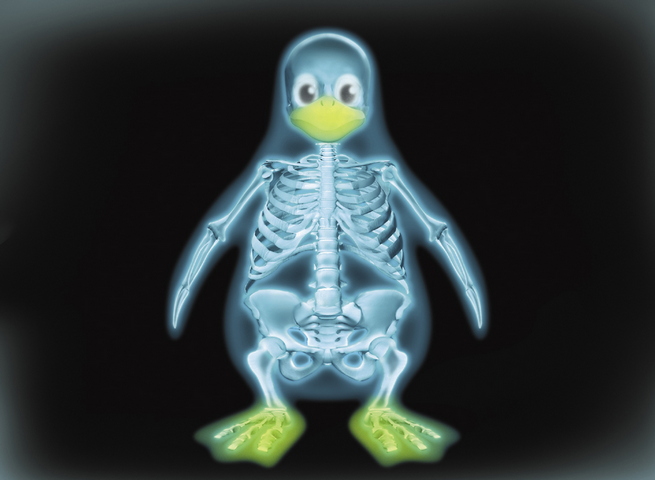 X Ray Linux