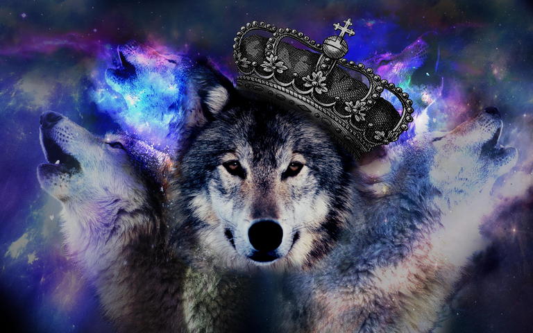 狼的国王