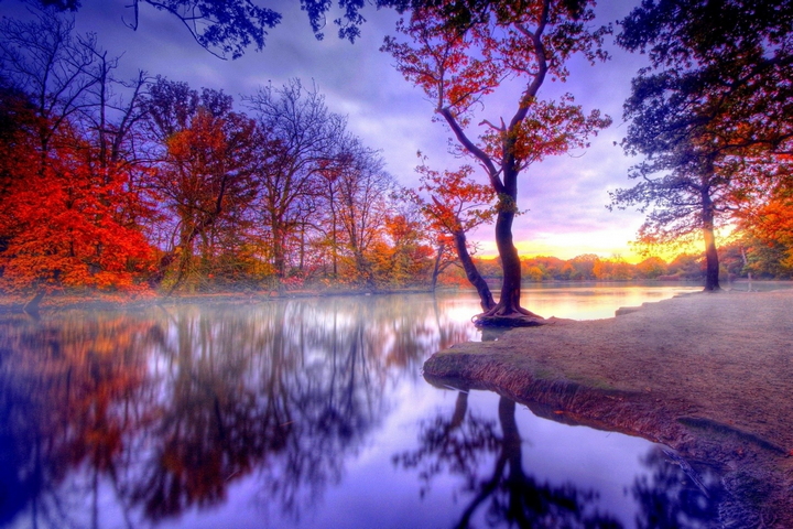 Trees Autumn Lakes