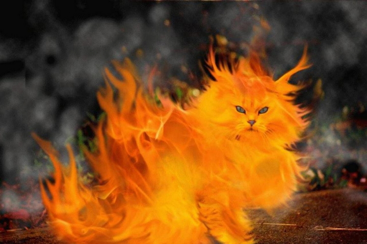 Scull In Fire 4K Landscape Wallpapers - Free Download | PHONEKY