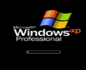 win xp GIF - Download & Share on PHONEKY