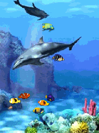 Aquarium GIF - Download & Share on PHONEKY