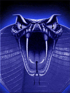 Blue Cobra GIF - Download &amp; Share on PHONEKY