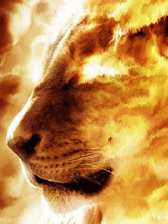 Leão do fogo GIF - Download & Compartilhe em PHONEKY