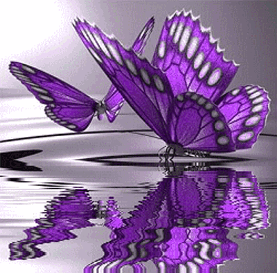 Purple Butterfly GIF - Download & Share on PHONEKY