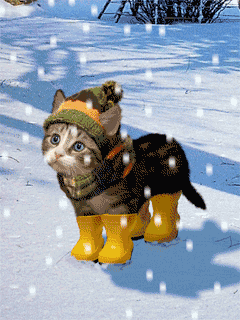 https://downloadwap.com/thumbs3/screensavers/d/new/animals/snow_cat-131851.gif