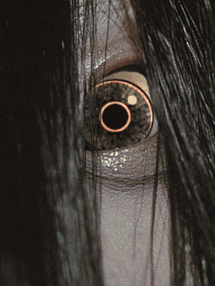 Eyearo GIF - Download & Share on PHONEKY