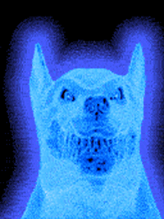 Https Encrypted Tbn0 Gstatic Com Images Q Tbn 3aand9gcs9cfyk3aryqzao8 Bubtvkokp9syvpytlpsp9cylkk Donnjq1