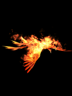 phoenix-285306.gif