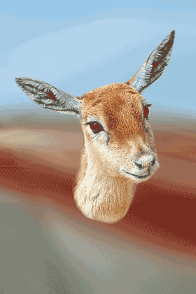 Deer GIF - Download & Share on PHONEKY