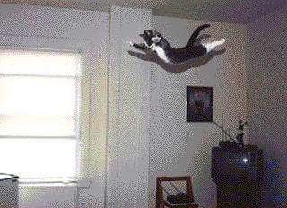 flying_cat-