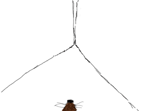Mouse Trap Gif