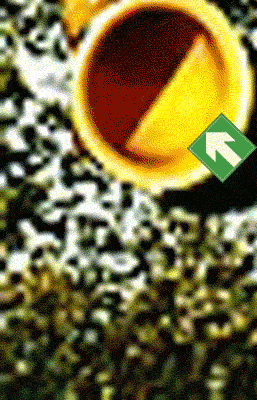 Mouse Trap Gif