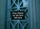 Mouse Trap Gif