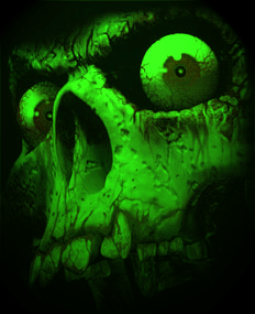 Green Skull iPhone Live Wallpaper  Download on PHONEKY iOS App