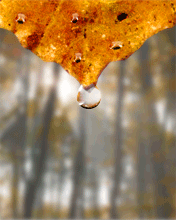 Drop GIF - Download & Share on PHONEKY