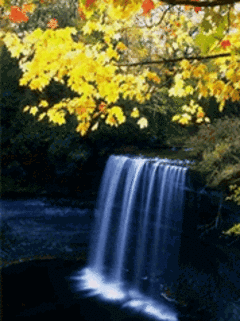 Fall GIF - Download & Share on PHONEKY