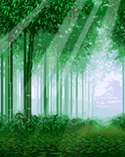 Forest GIF - Download & Share on PHONEKY