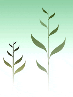Growth GIF - Download & Share on PHONEKY