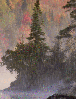 Rain GIF - Download & Share on PHONEKY