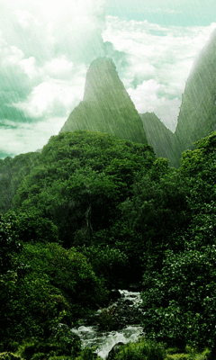 Floresta tropical GIF - Download & Compartilhe em PHONEKY