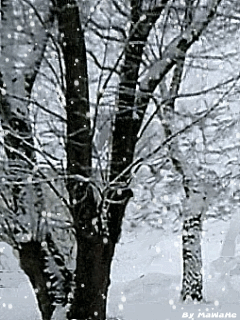 Snowing GIF - Download & Share on PHONEKY