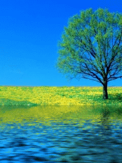 Springtide GIF - Download & Share on PHONEKY