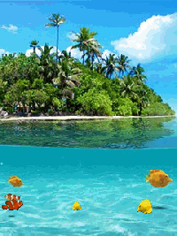 Tropical Animated GIF - Download & Share on PHONEKY