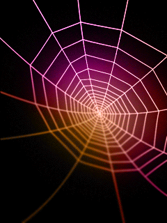 Spiderweb GIF - Download & Share on PHONEKY