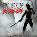 Kamikaze 2: The Way Of Ninja