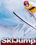 स्की कूदते 3 डी 2010