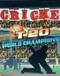 क्रिकेट टी 20