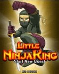 Raja Ninja Kecil